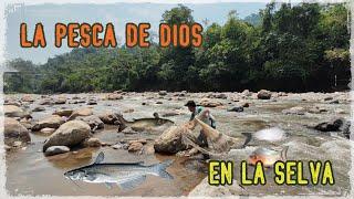 PESCA CON ATARRAYA EN LA SELVA.. #PescaDeSabalos ........FISHING WITH A NET.