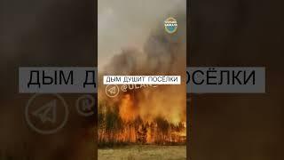Торфяной пожар вышел из под контроля