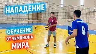 Нападающий Удар в Волейболе / Обучение от Чемпиона Мира