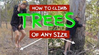 Climbing Trees - Small to Big