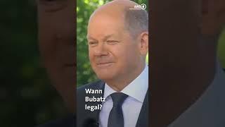 Wann Bubatz legal Hr Scholz #shorts #politik #cannabis #viral #olafscholz