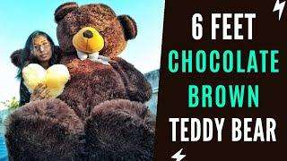 6 Feet Teddy Bear Unboxing | Valentine Giant Teddy Bear Unboxing | Best Birthday Gift For Girlfriend