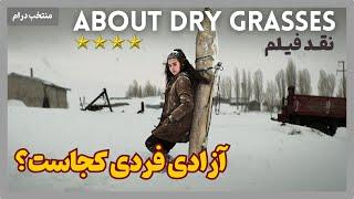 About Dry Grasses 2023 | نقد فیلم درباره‌ی علف‌های خشک