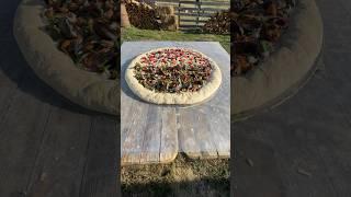 Victoria, Lisa and Julia: Life, Style & Little Joys (39)! #royallqt #asmr #cooking #food #garden