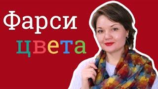 Уроки фарси. Цвета.