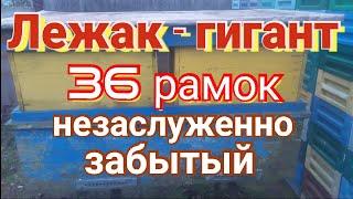 Улей лежак - гигант. Отличная зимовка и много меда.