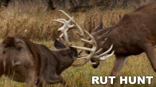 The Perfect Whitetail Rut Hunt at Legends Ranch