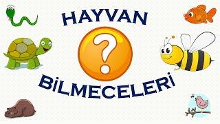 HAYVAN BİLMECELERİ