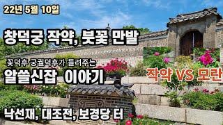 창덕궁 작약 만발 꽃덕후 궁궐덕후가 들려주는  알쓸신잡 ㅣ 낙선재 대조전 보경당 터 ㅣ 모란 VS 작약