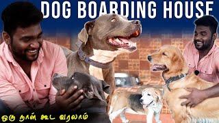 இவ்வளவு தானா ! - Low Budget Dog Boarding House & Dog Hostel