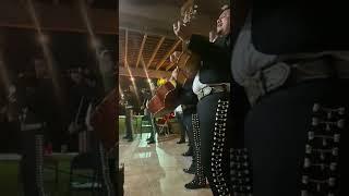 La ley del monte 956=295=7957 Mariachi Real Del Valle de McAllen Texas