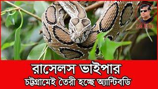 রাসেলস ভাইপার II Russell's viper II Antibody II Venom Research Centre | Journey With RANA