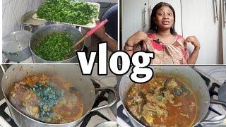 MAKING MY FAMILY FAVORITE SOUP + HOW MUCH CONSISTENCY PAID ME ON YOUTUBE/ NIGERIA YOUTUBER