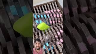 #shortsvideo#shots#funny#saboon#other