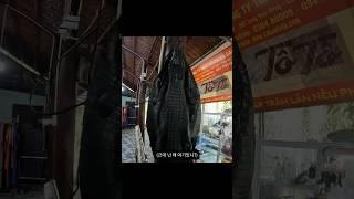 신비한 코코넛 캔디 공장
