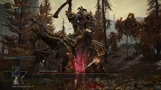 Lion vs Dragon: Clash of Claws (No Hit Draconic Tree Sentinel, RL1, +6 Claymore)