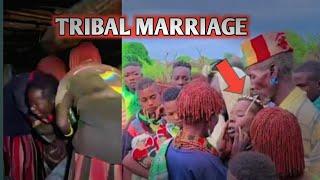 Arranged tribal marriage | she has no choice #tribalmarriage