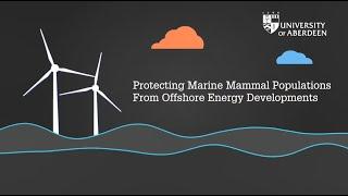 Protecting Marine Mammal Populations From Offshore Energy Developments, 2017