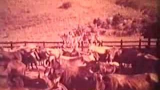 FAZENDA DE NELSON GARCIA DOS REIS - FAZENDA SANTA CRUZ - 1974 (FILMADO EM SUPER 8)