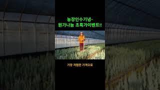 농장인수기념 원가나눔 초특가이벤트(한정수량) 2,800원부터~가격실화?? #plants #garden #2025년 #gardening #agriculture #farming
