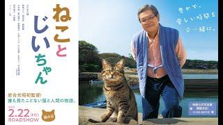 [BARU] Film Jepang Terbaru 2020 | Film yang Menceritakan Pulau Kucing