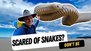 Snake safety when hiking in Australia | How to hike safely with snakes