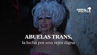 La historia de la lucha trans en México, entre la rabia y la dignificación