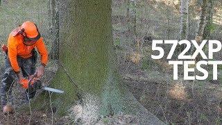 First Review - Husky 572XP Chainsaw In Tough Forest