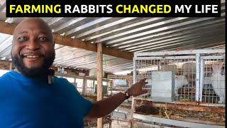 Zimbabwean Farmer Built a Successful Rabbit Business In Harare