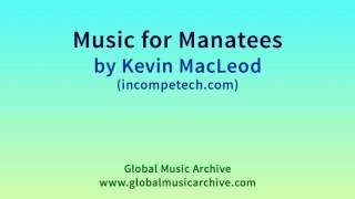 Music for Manatees by Kevin MacLeod 1 HOUR