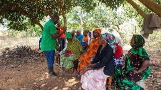 Women farmers grow organic vegetables in Tanzania