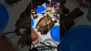 Ужин  #рыбалка #беларусь #отдых #fishing #рыбалканафидер