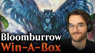 Let's Win some Bloomburrow Boxes! | Bloomburrow Arena Direct | Magic Arena