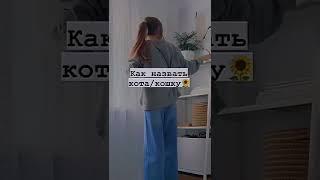 как назвать кошку или кота