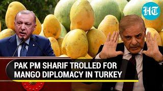 'Got You Mangoes': Pak PM Sharif's conversation with Erdogan goes viral | Watch