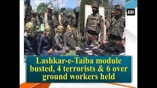 Lashkar-e-Taiba module busted, 4 terrorists & 6 over ground workers held - Jammu and Kashmir News