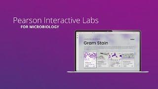 Pearson Interactive Labs for Microbiology - Student & Professor Experience