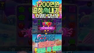 홍박사TV 스위트보난자  #슬롯잭팟 #온라인슬롯 #강원랜드슬롯머신  #맛있는슬롯 #모바일슬롯 #슬롯라이브  #프라그마틱슬롯 #실시간슬롯 #갓오브워