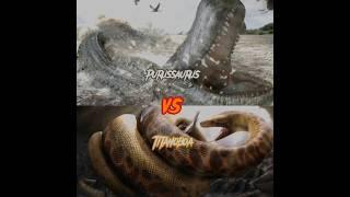 Purussaurus Vs. Titanoboa