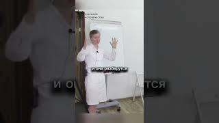 как наказать курильщиков за нарушение свободы выбора окружающих #запискицелительницы