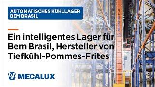 Ein automatisches Hochregallager mit automatischem Pallet Shuttle System in Brasilien