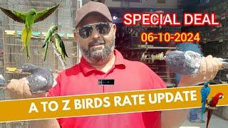 A To Z Birds Shop in Karachi | latest Update |Special Deal |java |Albino |crimino #pets