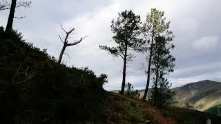 ️ View of Pola de Allande! Beauty of Asturias 