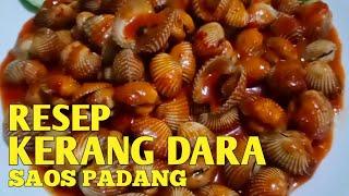 Resep Kerang Dara Saos Padang