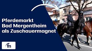 Pferdemarkt Bad Mergentheim als Besuchermagnet