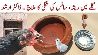 Chicken Wheezing | Helping Chickens to get rid of Excessive Mucus in Throat | Dr. ARSHAD