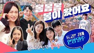 [등교한 김에 한양일주] EP 05. 한양, 봄나들이 #1 | 벚꽃이 있었는데? (지금은) 없어요... 