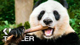 MOON, DER PANDA Trailer 2 German Deutsch (2025)