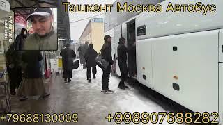 Tashkent Moskva Avtobus narxlari