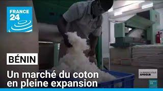 Au Bénin, les investisseurs attirés par un marché du coton en pleine expansion • FRANCE 24